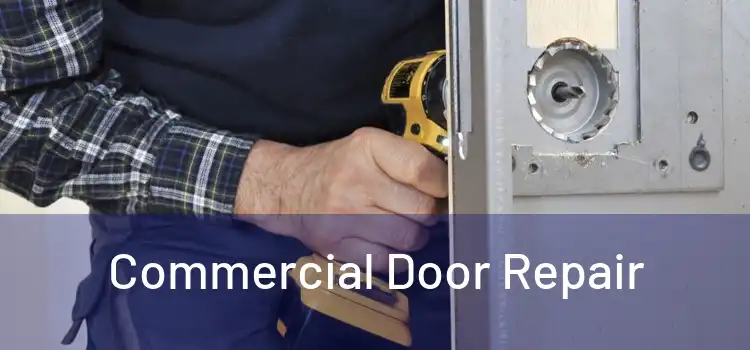  Commercial Door Repair 
