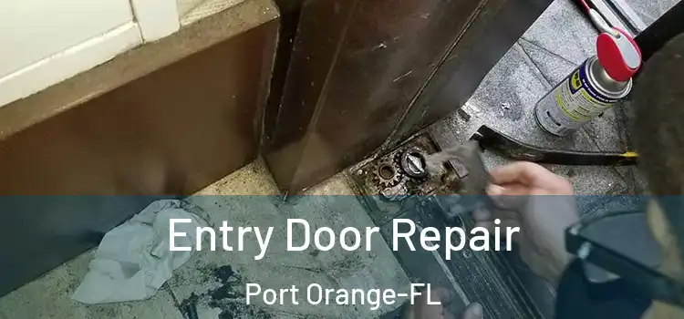  Entry Door Repair Port Orange-FL
