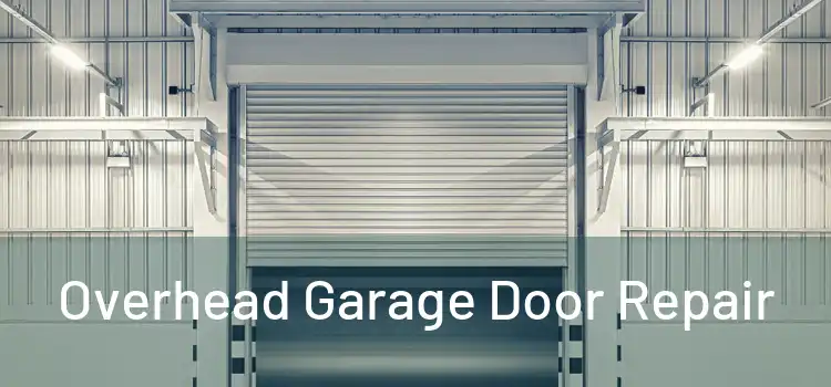  Overhead Garage Door Repair 
